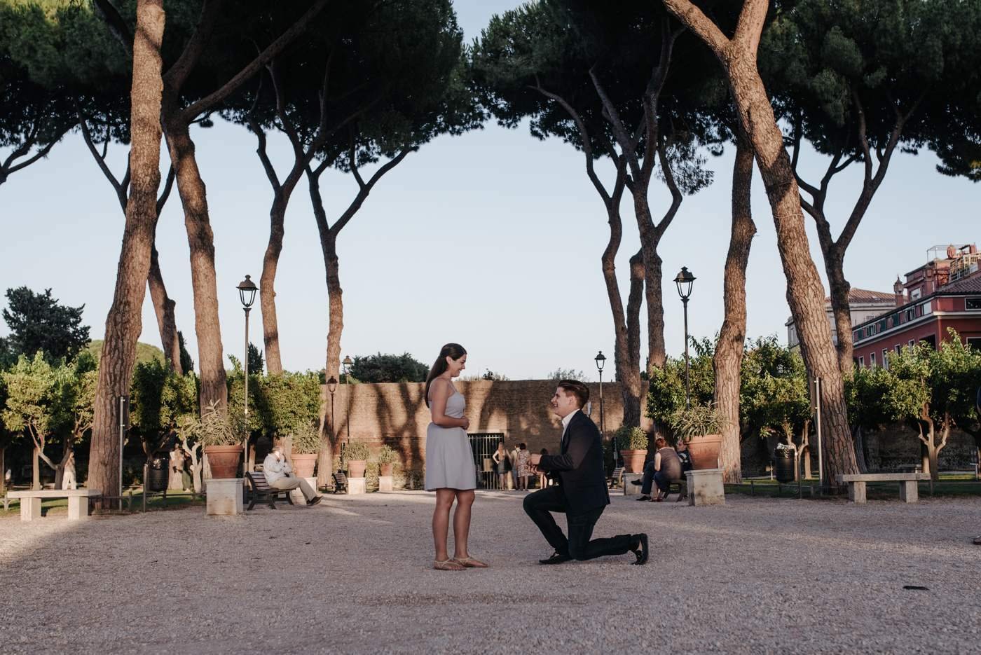 A proposal under the umbrella pines